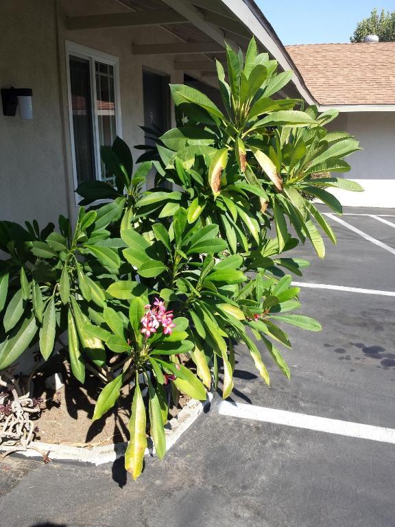 New Kansan Motel Rancho Cucamonga Exterior foto